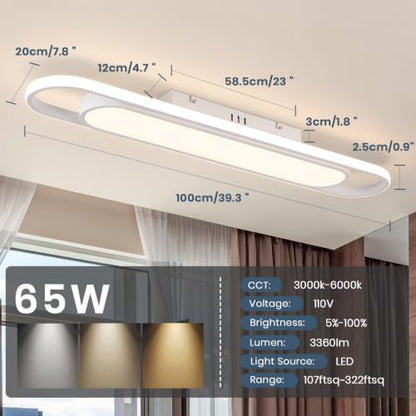 Modern LED Ceiling Light