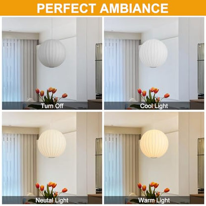 Plug in Hanging Lamp Small Lantern