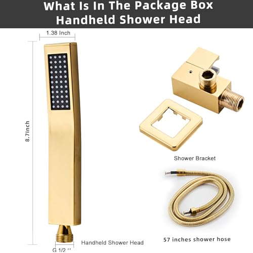 Handheld Shower Head