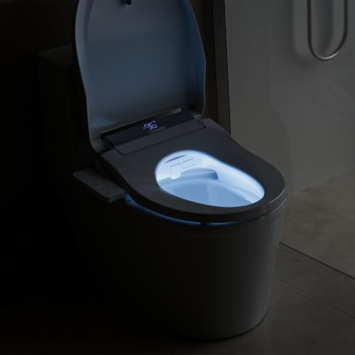Electric Bidet Toilet Seat Elongated with Warm Water Wash