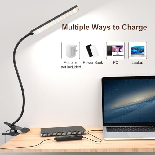 Clip‑On Desk Lamp (Dark Black / Medium)
