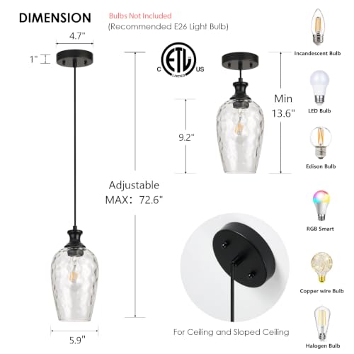 Pendant Light YFD2009