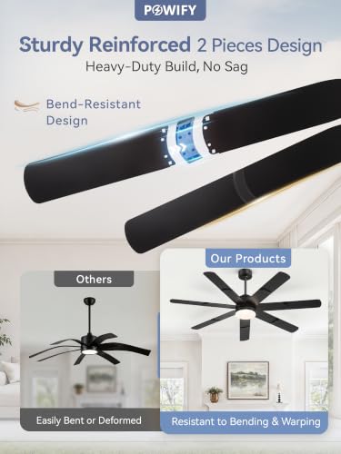 Ceiling Fans with Lights