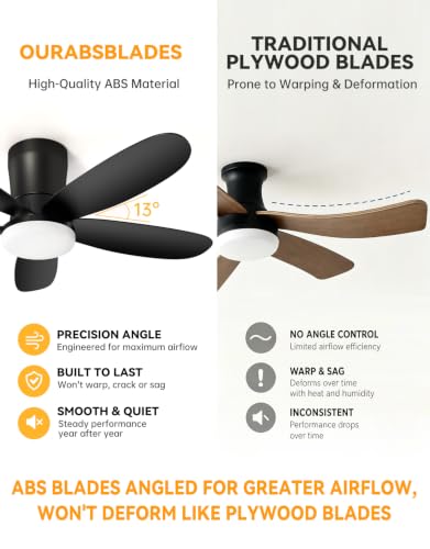 Ceiling Fans with Lights