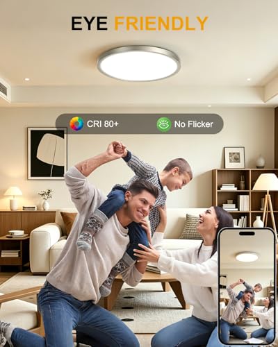 Flush Mount Ceiling Light