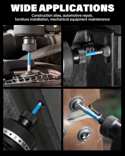 2 Inch Torx Bit Set