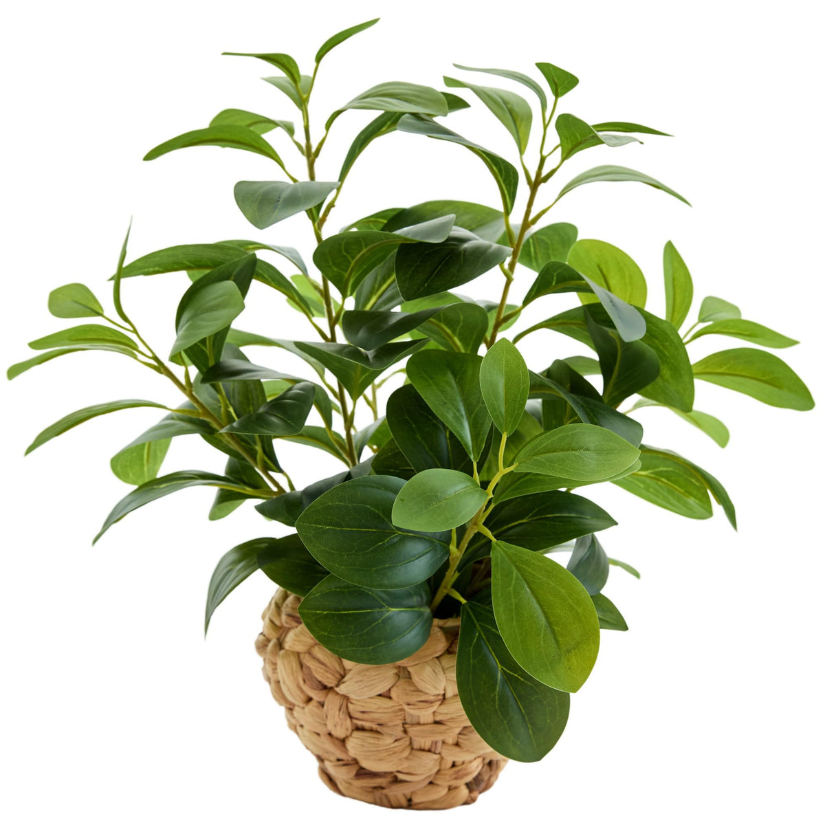 Fake Faux Potted Plant 15.7" Ficus Water Hyacinth Boho Decor (Green Ficus Plant 15.7" H)