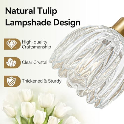 Crystal Vanity Light Fixture Over Mirror