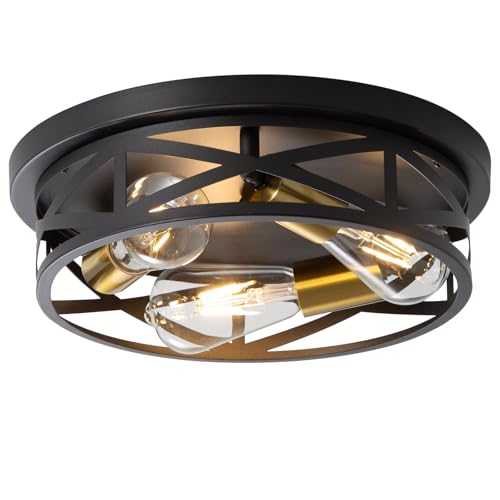 Black Ceiling Light Fixture with Gold Base