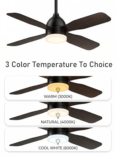 Ceiling Fans with Lights
