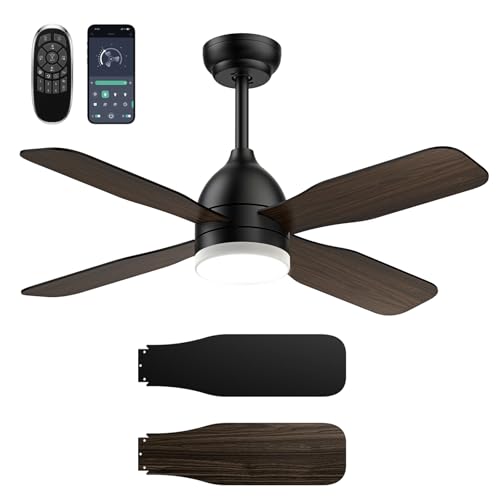 Ceiling Fans with Lights