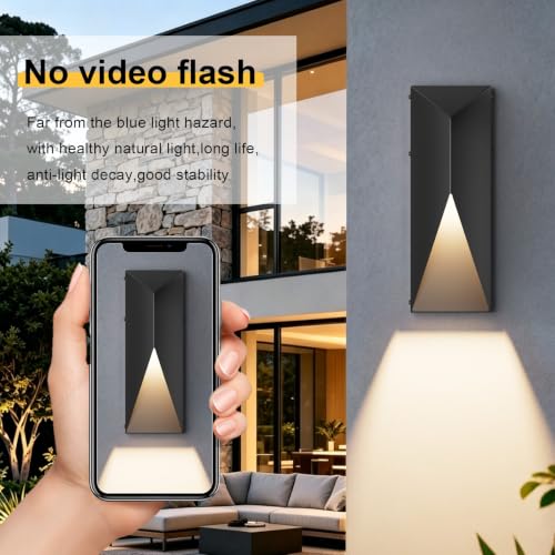 Black LED Outdoor Wall Light 2 Packs