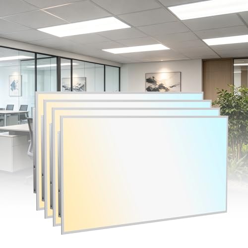 2 Pack 2x4 LED Flat Panel Light