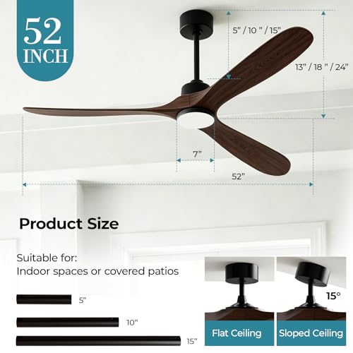 Ceiling Fans with Lights