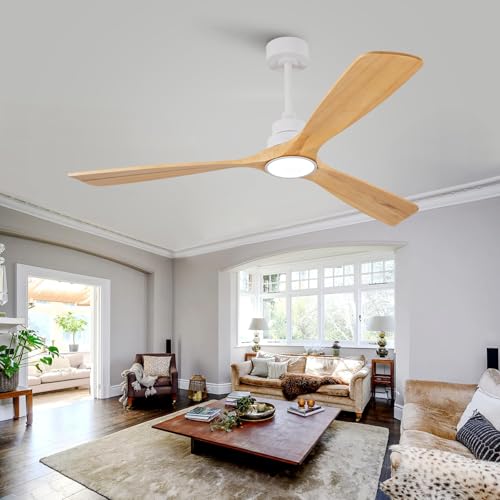 Ceiling Fan with Light