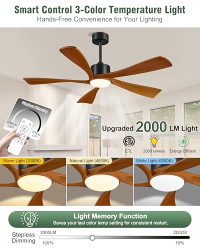 Smart Ceiling Fans with Lights