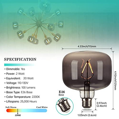 Large Decorative LED Edison Light Bulb