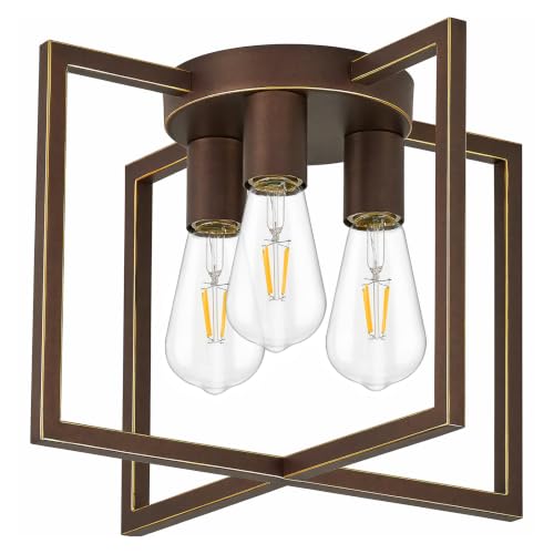 3 Light Ceiling Light