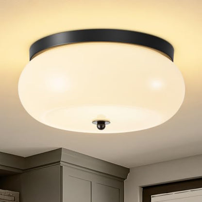 Modern Ceiling Light