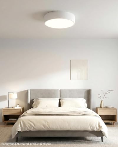 LED Ceiling Light