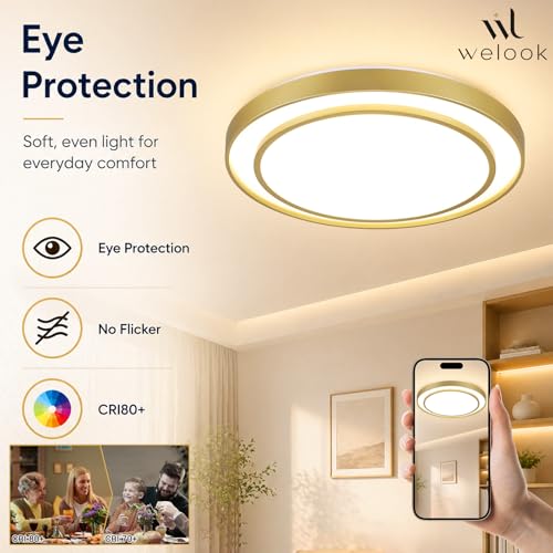 Close to Ceiling Light VC60