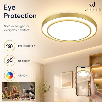 Close to Ceiling Light VC60