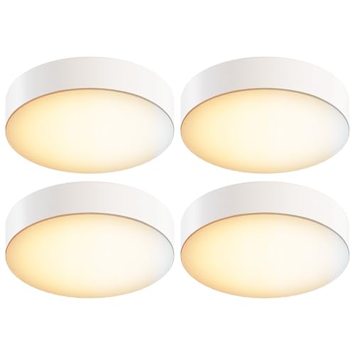 5 Inch Edgeless Surface Mount LED Ceiling Light