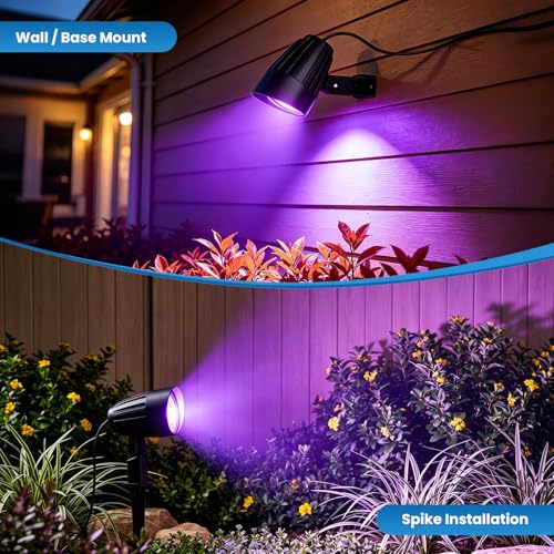 Black Light Outdoor Spotlight