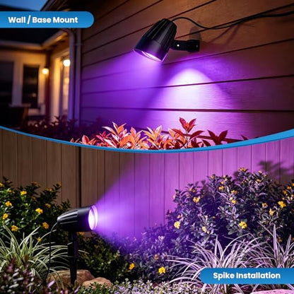 Black Light Outdoor Spotlight
