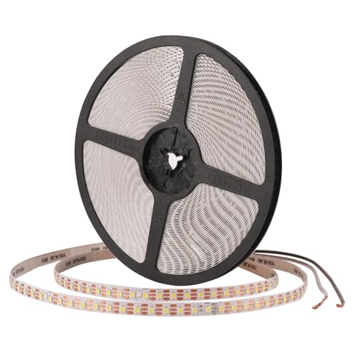 32.8ft LED Strip Lights DC24V