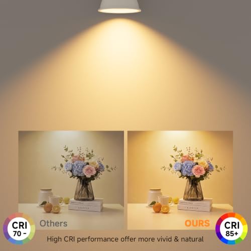 MR16 LED Bulbs 50W Halogen Equivalent (Warm White)