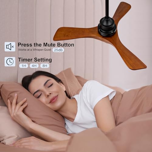 Ceiling Fan with Light