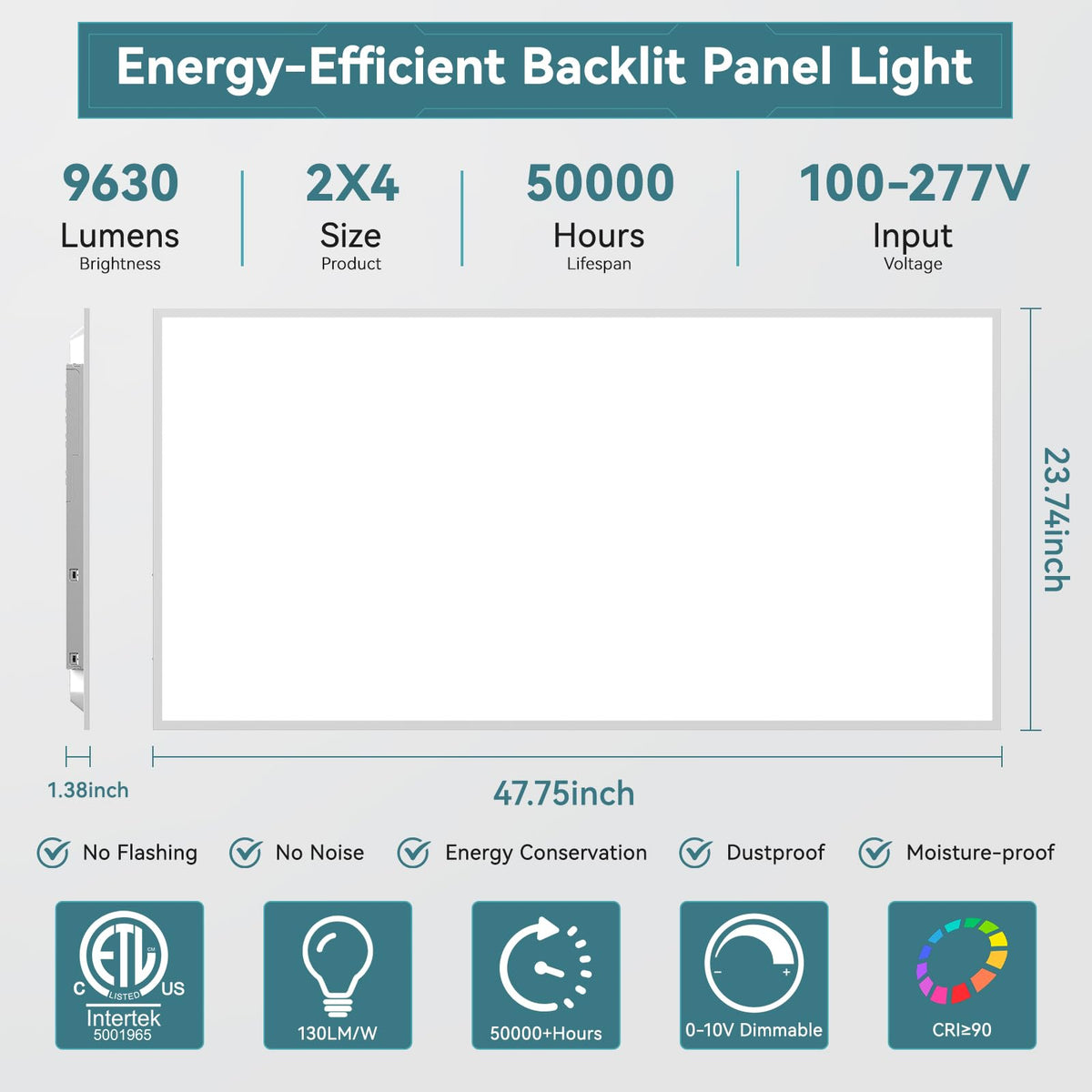 2 Pack 2x4 LED Flat Panel Light (2Pack)