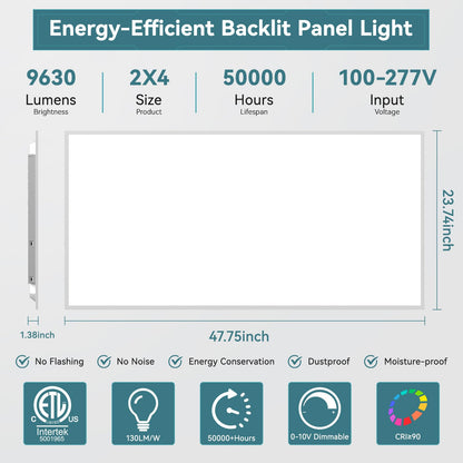 2 Pack 2x4 LED Flat Panel Light (2Pack)