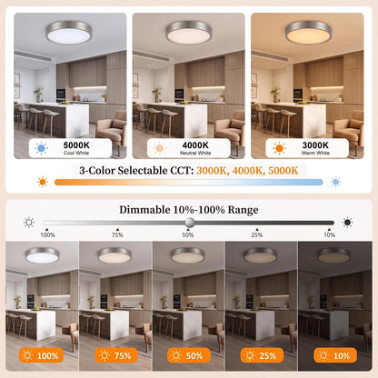 Flush Mount Ceiling Light (Satin Nickel)