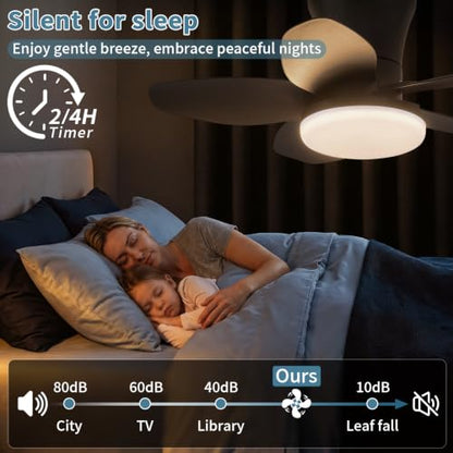 Small Ceiling Fan with Lights