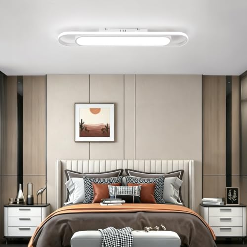 Modern LED Ceiling Light