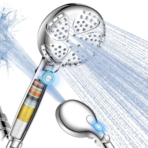 Filtered Shower Head with Handheld
