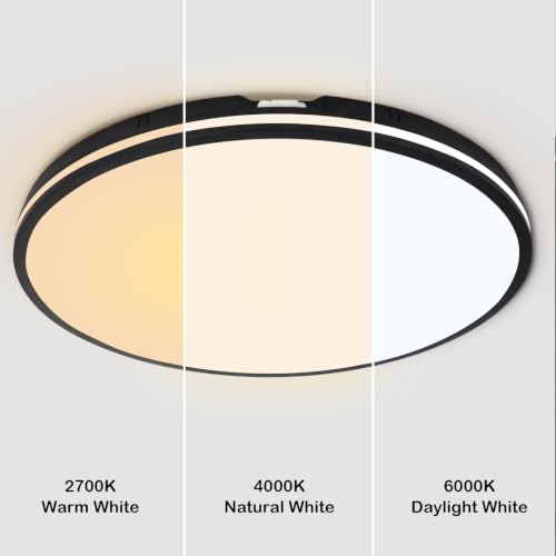 Contemporary Flush Mount Ceiling Light