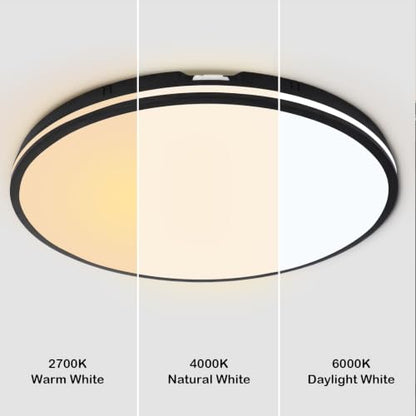 Contemporary Flush Mount Ceiling Light