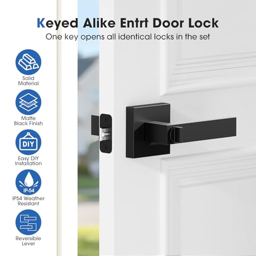 Door Lock Matte Black Door Knob with Lock