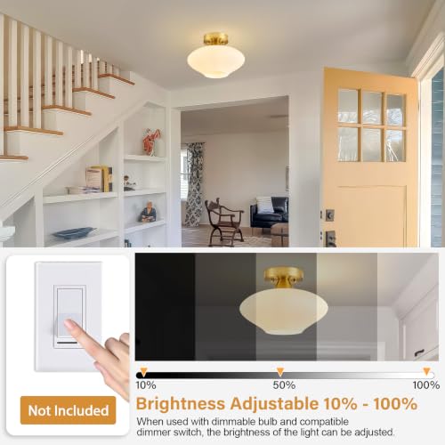 Modern Ceiling Light