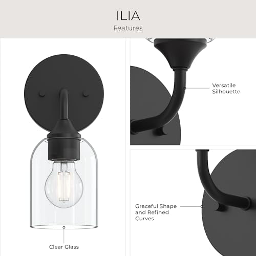 Ilia 1 Light Wall Sconce