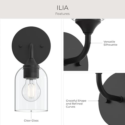 Ilia 1 Light Wall Sconce