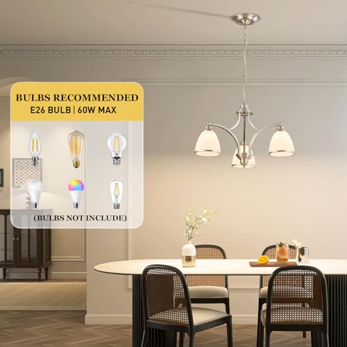 6 Light Chandelier