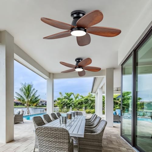 Ceiling Fan with Light
