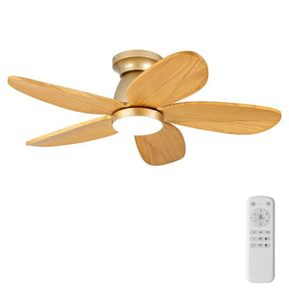 Ceiling Fan with Light