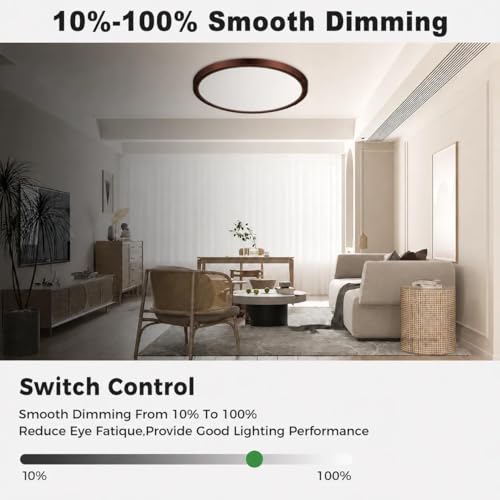 LED Flush Mount Ceiling Light