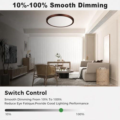 LED Flush Mount Ceiling Light