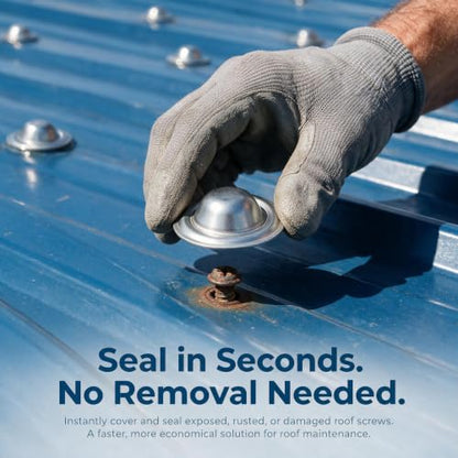 Metal Screw Roof Caps
